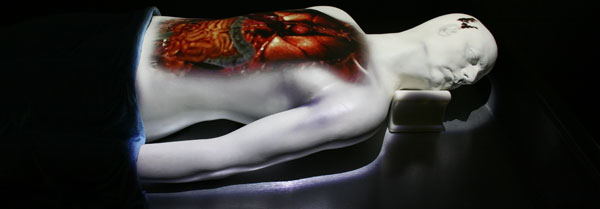 csi-interactive-exhibit-autopsy-results